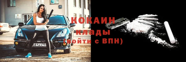 прущие грибы Арсеньев