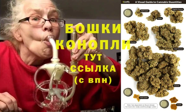 прущие грибы Арсеньев