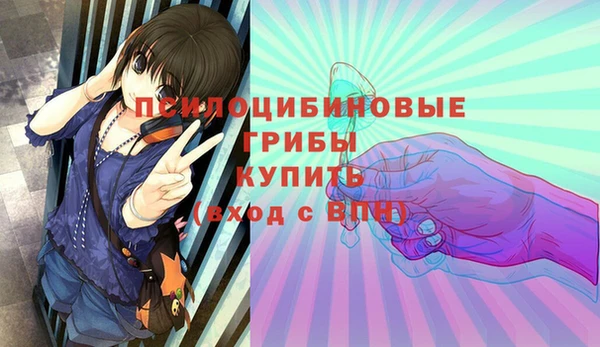 прущие грибы Арсеньев