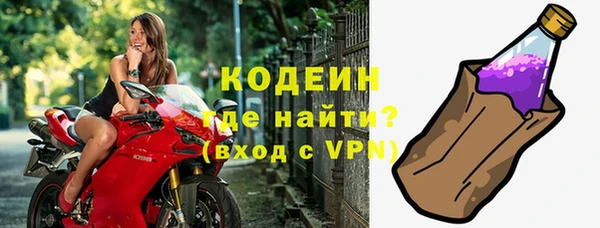 прущие грибы Арсеньев