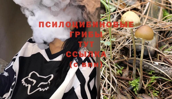 прущие грибы Арсеньев