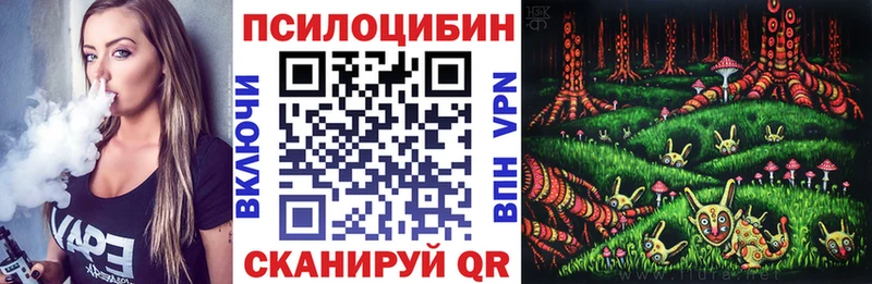 Купить где  Россошь  Галлюциногенные грибы Psilocybine cubensis 